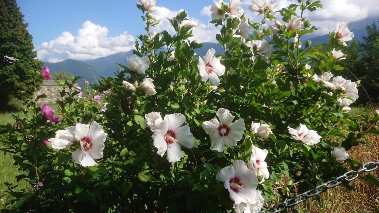 Casa Delle Rose Villa Teglio Ngoại thất bức ảnh
