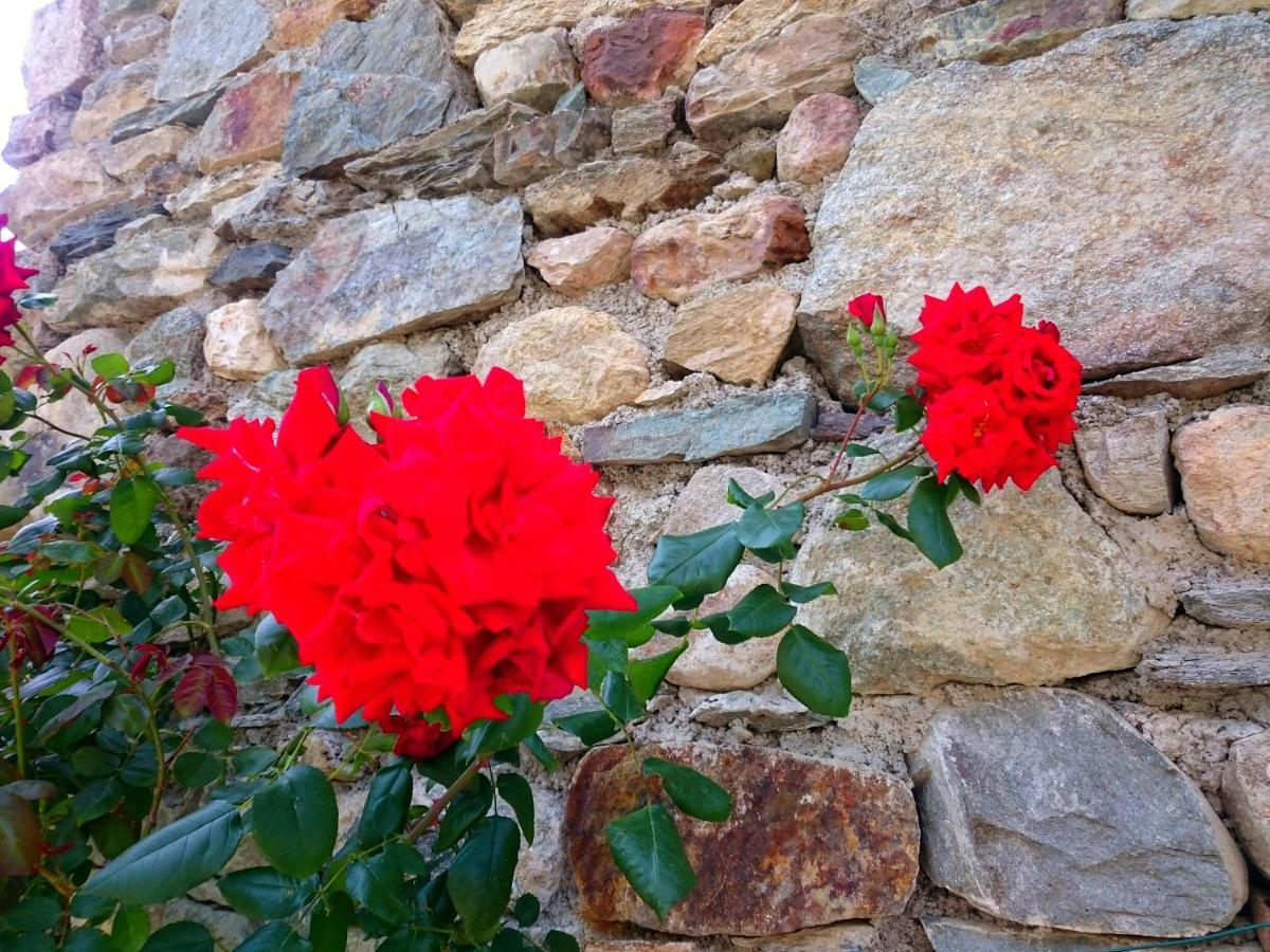 Casa Delle Rose Villa Teglio Ngoại thất bức ảnh